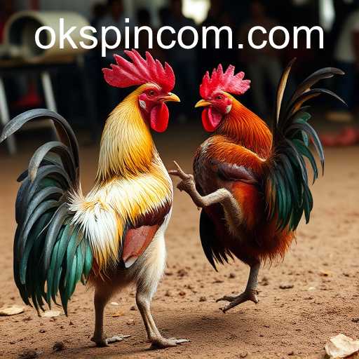 Cockfighting: Tradition Meets Modern Platforms